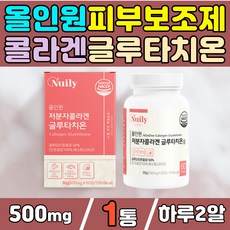 올인원피시