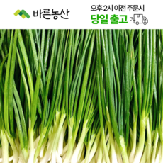 < 바른농산 > 국내산 제주 깐쪽파 쪽파, 10개, 1kg