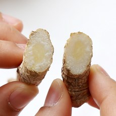  한라산더덕 세척 하품 20kg, 1개 