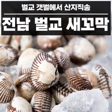 22년꼬막살