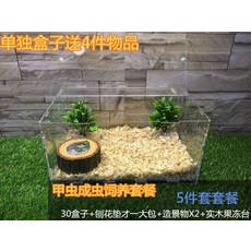 귀뚜라미l10