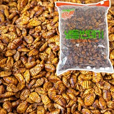 냉동 번데기 고단백 간식 안주 길거리음식, 1개, 2kg