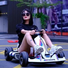 고카트 루지카트 전동킥보드 1인용전기차 전동휠, 전기 구동, E.백색리튬건전지12V+원격제어자율주행, 1개