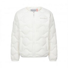 디스커버리픽토르s