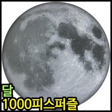 NFB606005아이윙스 1000피스퍼즐 원형직소퍼즐 달 문 1000피스퍼즐 우주시리즈 사진퍼즐, 1