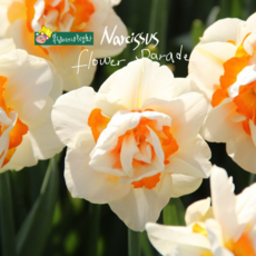 건강한춘복이네