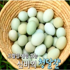 참신한 계란 자연방사 유정란 청달걀 청계란 청계알 난가번호 1번 청년농부 청란 20구 30구 40구, 1개