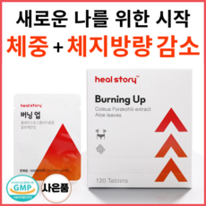 포뉴내몸애착다이어트보조제