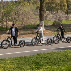  전동킥보드 접이식 배터리 광폭타이어 Sobowo 빠른 속도 전기 스쿠터 팻 성인 킥 바이크 2040, 1)Black 