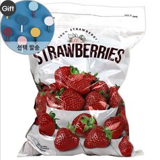 트레이더스파김치