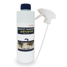 몰드벽지