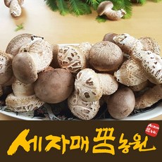 세자매꿈농원 쫄깃한 고기식감 송고 송화고버섯(생), 상품1 (3등급 1kg), 1개