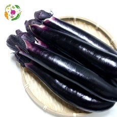 대아프레시 국내산 가지 특품, 1박스, 10kg