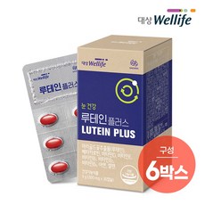 메이크미루테인