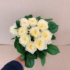 6146a20777fe2a2cd6efec03e24aa4832c794b296abdb657bfccbe76df4b.jpg