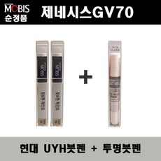 gv70우유니화이트