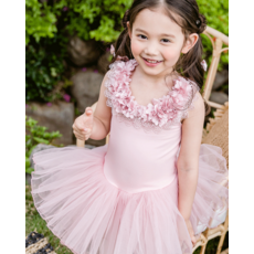 레이스나시발레복