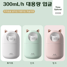 humidifier가습기