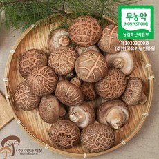 [자연과버섯] 청정지역 용인 산지직송 생 표고버섯 1kg, 고급형