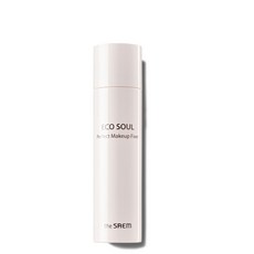 더샘 에코 소울 퍼펙트 메이크업 픽서, 100ml, 1개