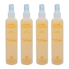 연예인스프레이