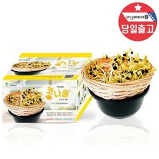 콩나물키우기1인용