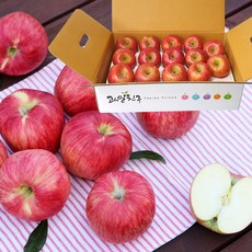 꼬꼬마파인애플