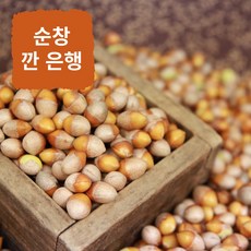  23년 햇은행 전라도 순창 깐은행, 500g(중), 1개 