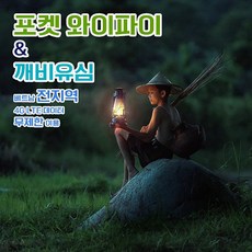 베트남유심인천공항