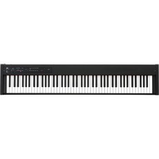 KORG 코르그 D1 전자 피아노 88 건반 댐퍼 페달 보면 꽂이 부속 동음 연타 가능