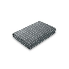 파세코2세대