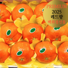 [프리미엄 올해의 레드향] 꿀당도 제주산지직송 레드향 선물용 가정용 3kg 5kg 백화점선물 1개 가정용벌크 중소과 3키로 상품 이미지