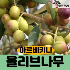 273befbbe1123b679d528e8ce70fbacf1c4c3bc86b6558cb2815c94b8eca.jpg