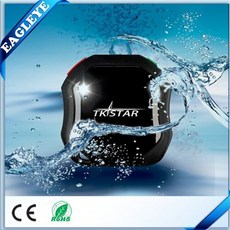 2c134cb2e571a2572a2d86dff5f11d17c77000cc7cf0c0d6c15a582809ed.jpg