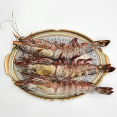 홍다리얼룩새우