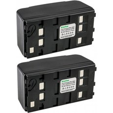Kastar 2-Pack Ni-MH Battery 6V 4800mAh Compatible with Panasonic PV-L650 PV-L657 PV-L659 PV-L757 PV-L857 PV-S332 PV-S3, 단일옵션