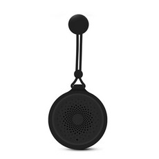 뱅앤올룹슨차량스피커