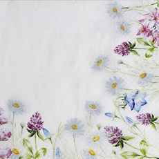 파스텔크래프트 냅킨아트 Paw SDL120110 Spring Frame 냅킨20매 33X33cm 2086, 20매입