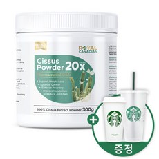 시서스차 로얄 캐네디언 캐나다 시서스 가루 20배+ 300g 씨져스 홈쇼핑 시서스 시서스나무, 1개