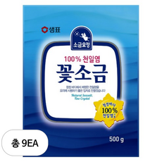 샘표 소금요정 천일염 꽃소금, 9개, 500g