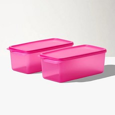 소심타파