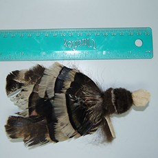 Big Sky Cats Golden Eagle Bird Refill/Attachment - Fits Wildcat and Popular Bird and Mouse Type Wand, 1