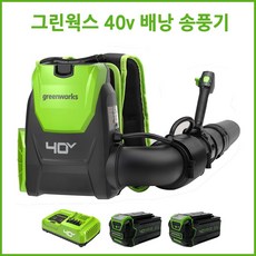 그린웍스 40v 백팩 충전 송풍기 제설 낙엽 송풍기 청소기 충전식 브로워 무선송풍기, 1개, 본품 + 배터리2개이상