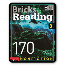 브릭스리딩170-3