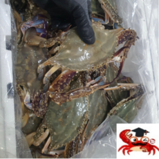 국내산 A급 연평도 숫꽃게 명품꽃게1kg, 2.국내산 연평도 서해 숫꽃게 3-4미, 1kg, 1개