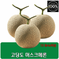 고당도 머스크 메론 멜론 특품 1.6kg 내외, 3개, 4.8kg 내외