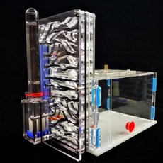 대구개미키우기세트