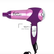 별봄샤인 전문가용 식스모션 헤어 드라이기 모발건조기