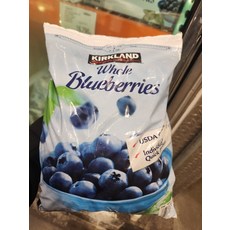 추천10 코스트코냉동과일