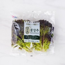 중국산양상추